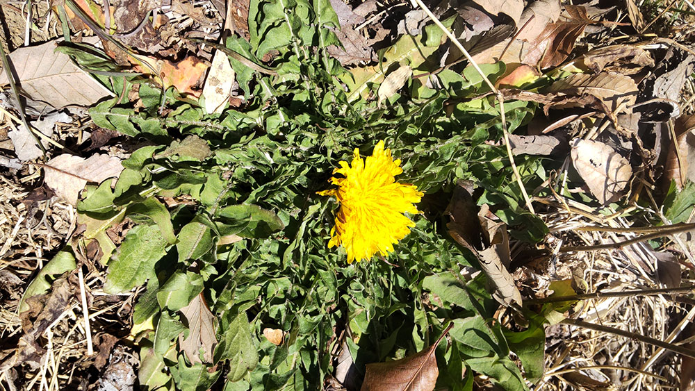 天地返しをしました